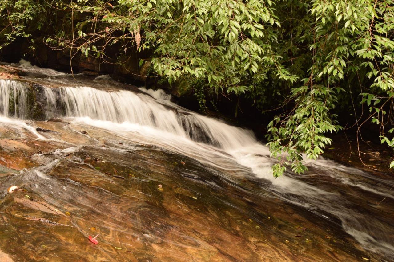Royal River Resort Kitulgala Ngoại thất bức ảnh